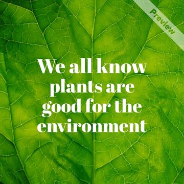 #PlantAFlowerDay Video Template