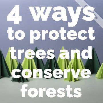 International Day of Forests Video Template