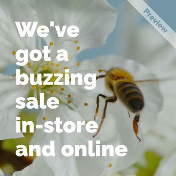Buzzing Sale Video Template