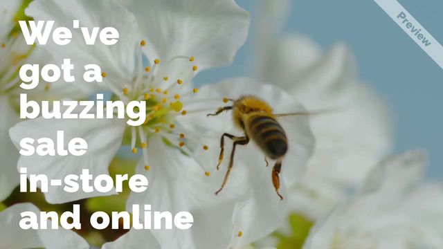 Buzzing Sale Video Template