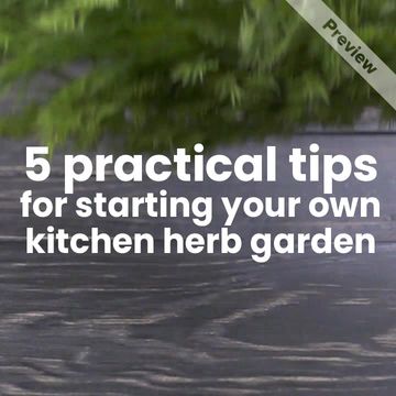 Tip Tuesday Video Template