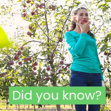 Science Sunday Video Template