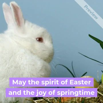 Easter Video Template