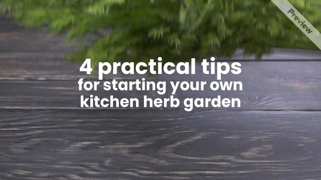 Tip Tuesday Video Template