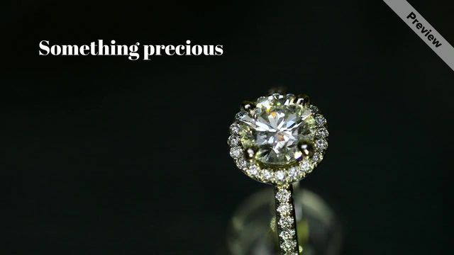 Priceless Video Template