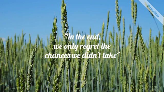 Quote Video Template