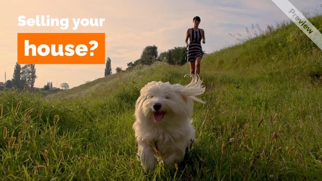 All Ears Video Template