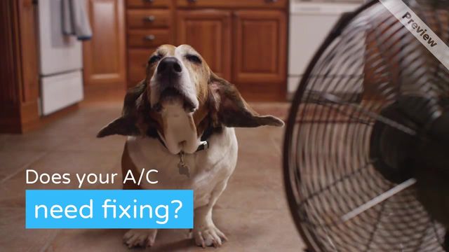 We're All Ears Video Template