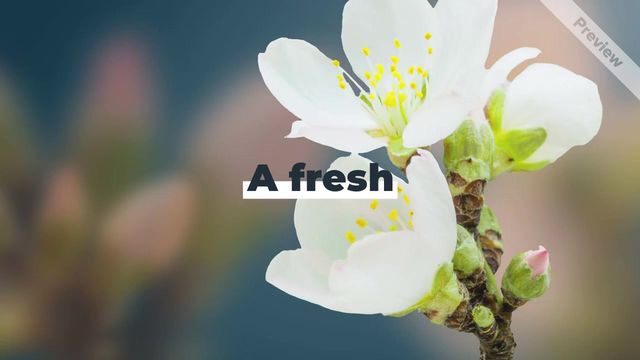 Fresh Start Video Template