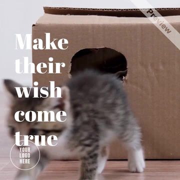 Adopt a Stray Video Template