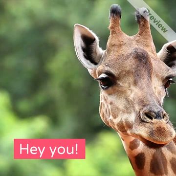 Hey You! Video Template