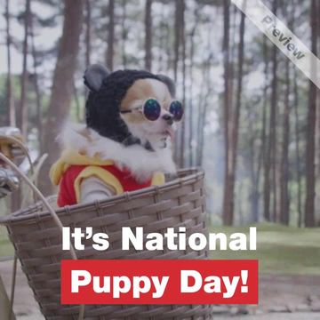 Puppy Day Video Template
