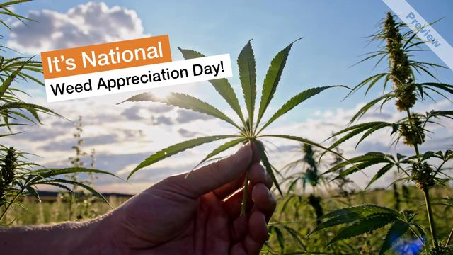 Weed Appreciation Video Template