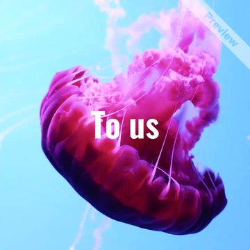 Marine Mammal Rescue Day