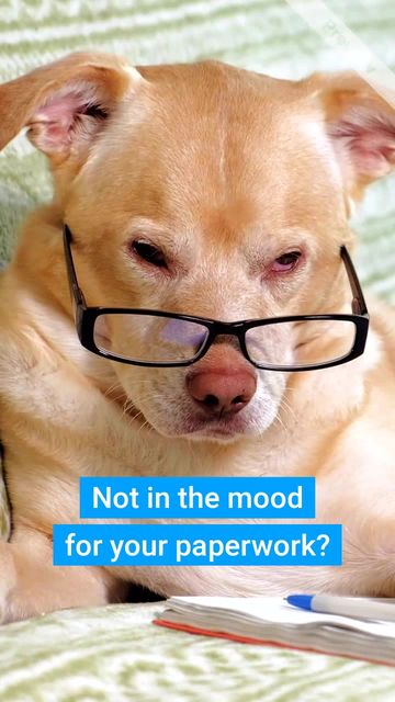 Not In The Mood Video Template