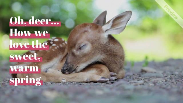 Oh Deer Video Template