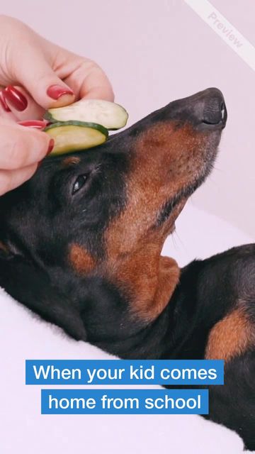 #NoHomework Video Template