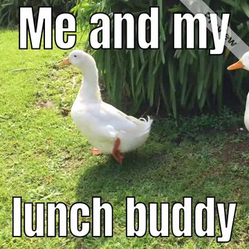 Food truck Video Template