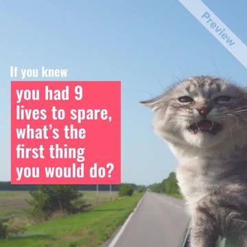 #NationalKittenDay Video Template