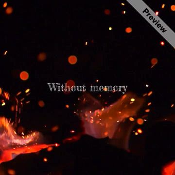 Memory Video Template