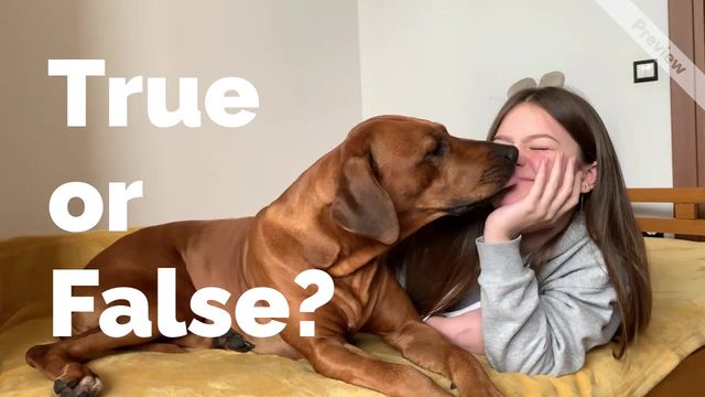 Kissing Day 2 Video Template