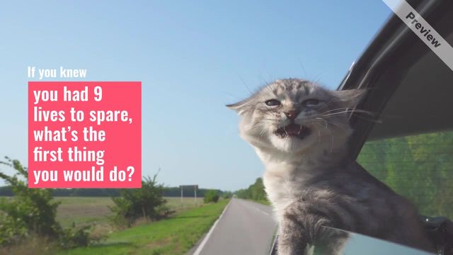 #NationalKittenDay Video Template