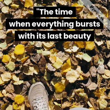 Fall collection Video Template