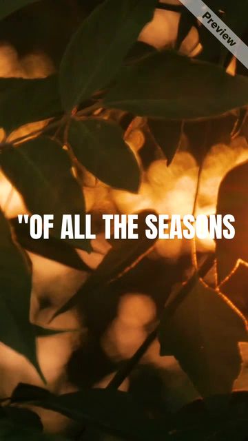 Autumn sale time Video Template