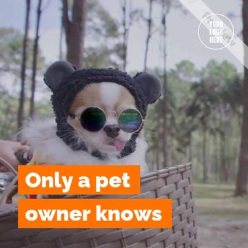 Love Your Pet Day Video Template