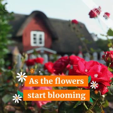 Sell Your Home in Spring | Real Estate Video Template
