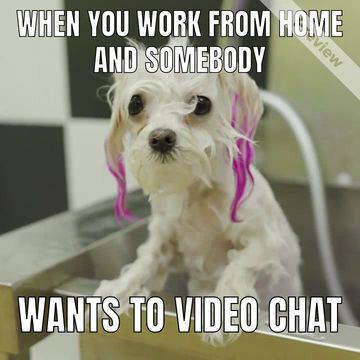 HR | WFH Meme Video Template