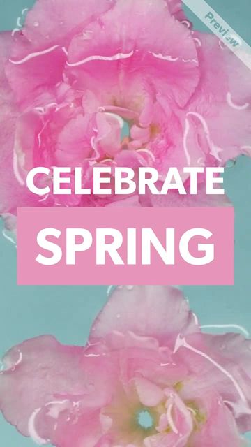 Celebrate Spring Video Template