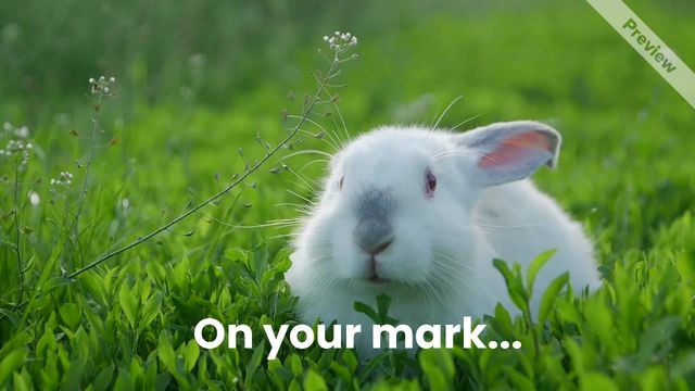 Ready, Set, Hop Video Template