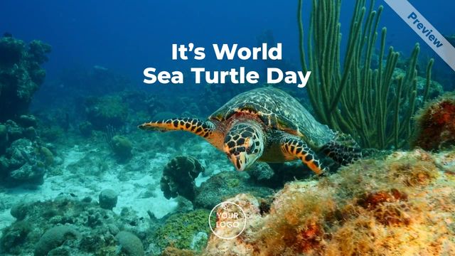 World Sea Turtle Day | Jun 16 Video Template