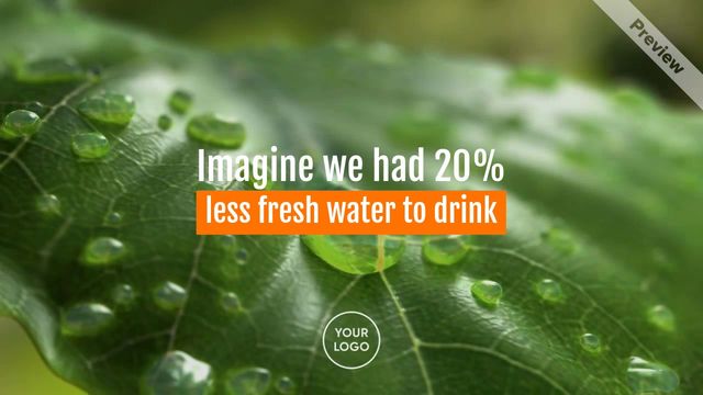 World Rainforest Day Video Template