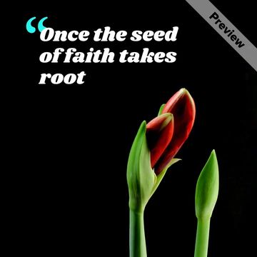 The Seed by Rumi Video Template