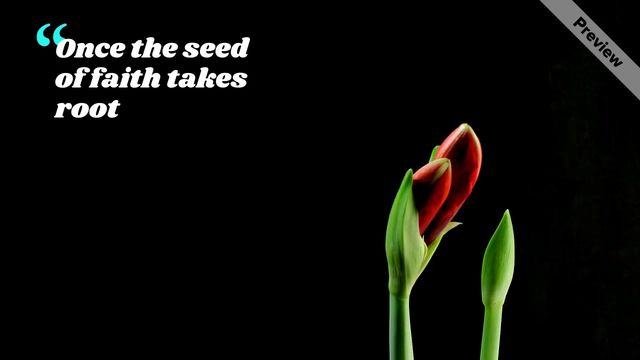 The Seed by Rumi Video Template