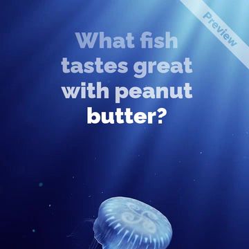 World Jellyfish Day | Nov 3 Video Template