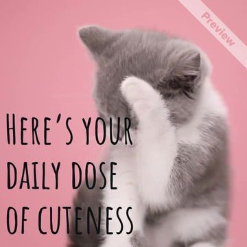 Dress Up Your Pet Day | Jan 14 Video Template