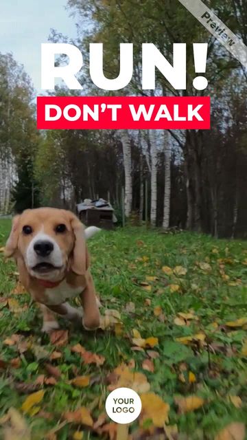 Black Friday Sale | Run! Video Template