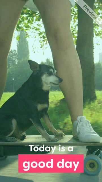 Good Day | Motivational Monday Video Template