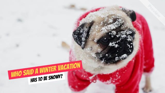 Winter Destinations Video Template