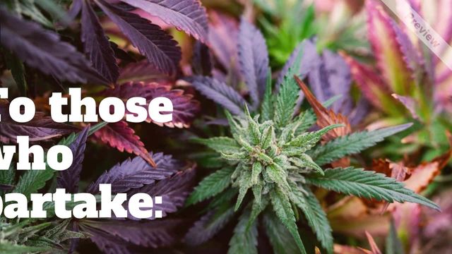 4:20 | Apr 20 | Wide Video Template