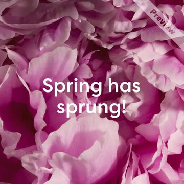 Spring Marketing Promo  Video Template