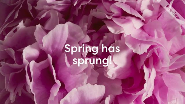 Spring Marketing Promo | Wide Video Template