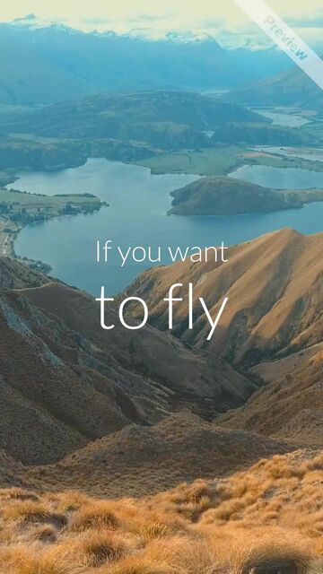 Transformation Tuesday | Fly Video Template