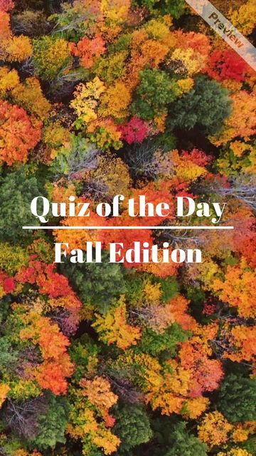 Quiz of the Day | Fall Edition Video Template