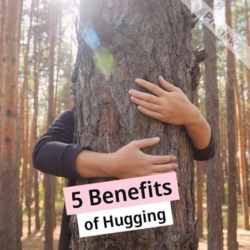 Hug a Bear Day | Nov 7   Video Template