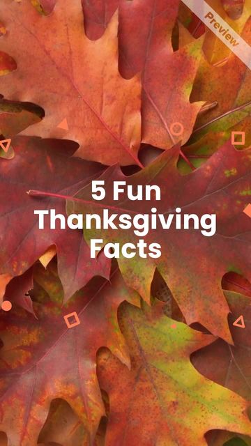 Fun Facts | Thanksgiving Video Template