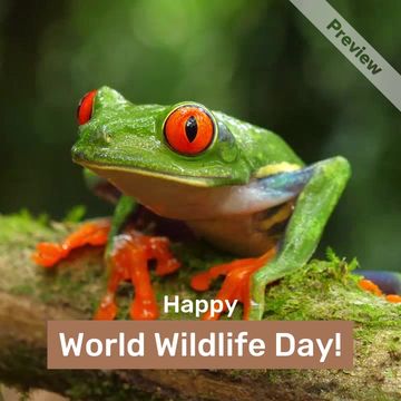 World Wildlife Day Video Template